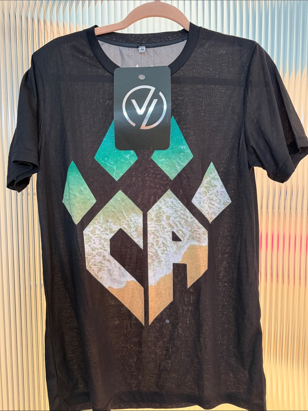 Men's Black Graphic Short-Sleeve Tee with Aqua and Tan Logo